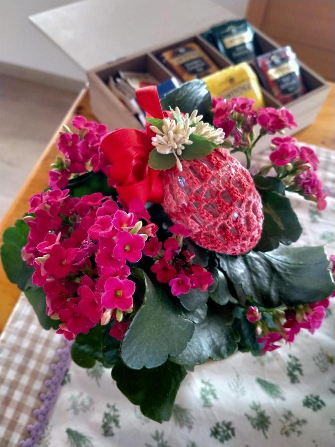 Antico Melo B&B Vignole Kültér fotó