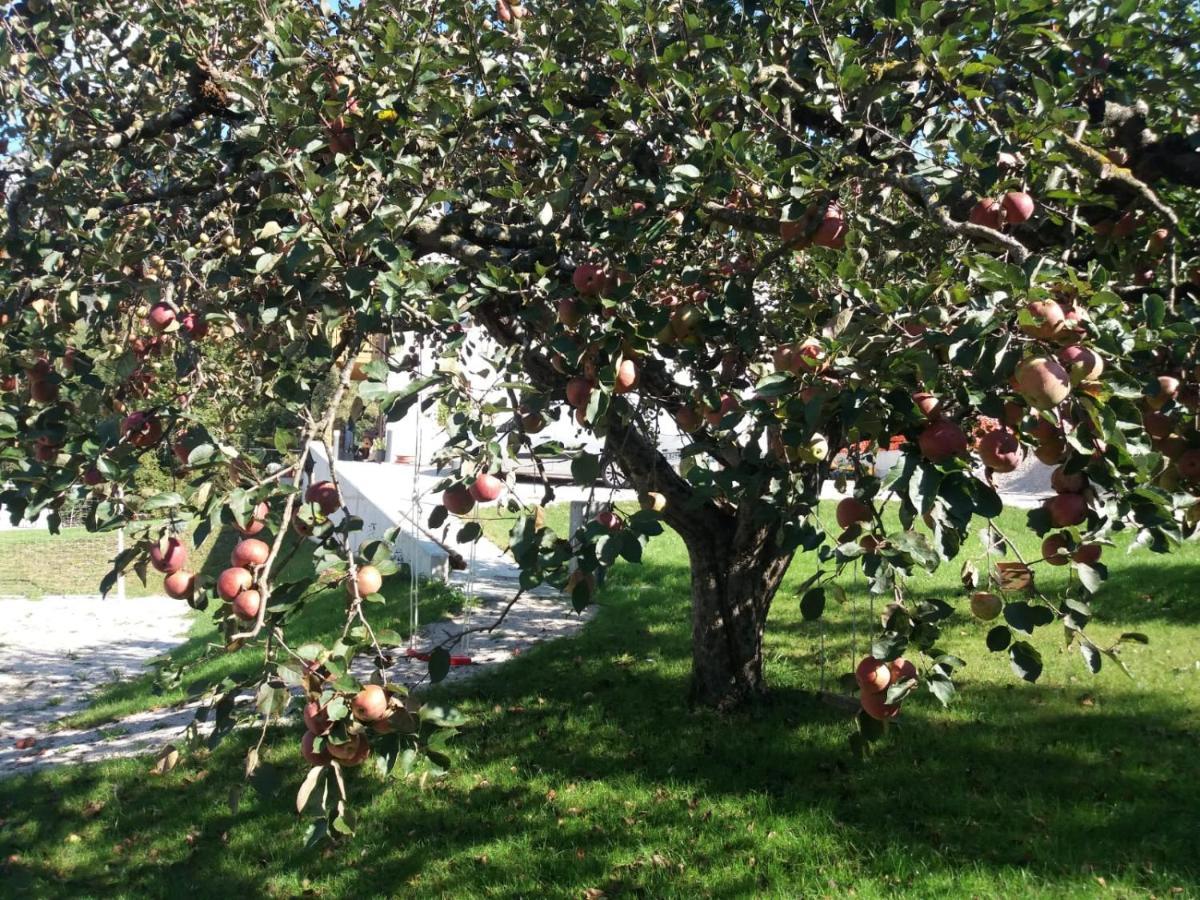 Antico Melo B&B Vignole Kültér fotó