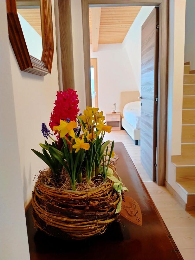 Antico Melo B&B Vignole Kültér fotó